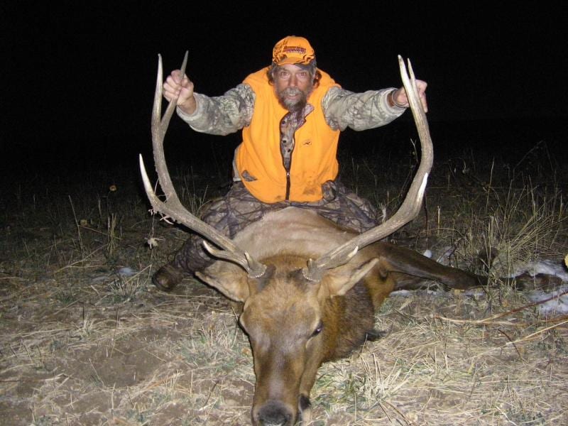 A hunter in an orange vest poses with a harvested elk at night.